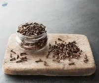 Clove Stems
