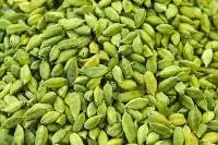 Cardamom Bold (8.5mm+)