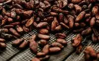 Cocoa Beans - Fermented