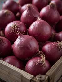Fresh Onions