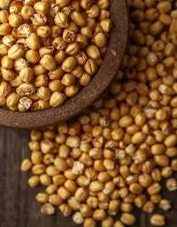 Cattle Feeds