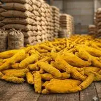 Turmeric
