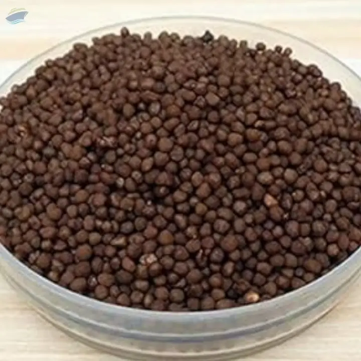 DAP Fertilizer