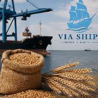 Wheat 12.5% P