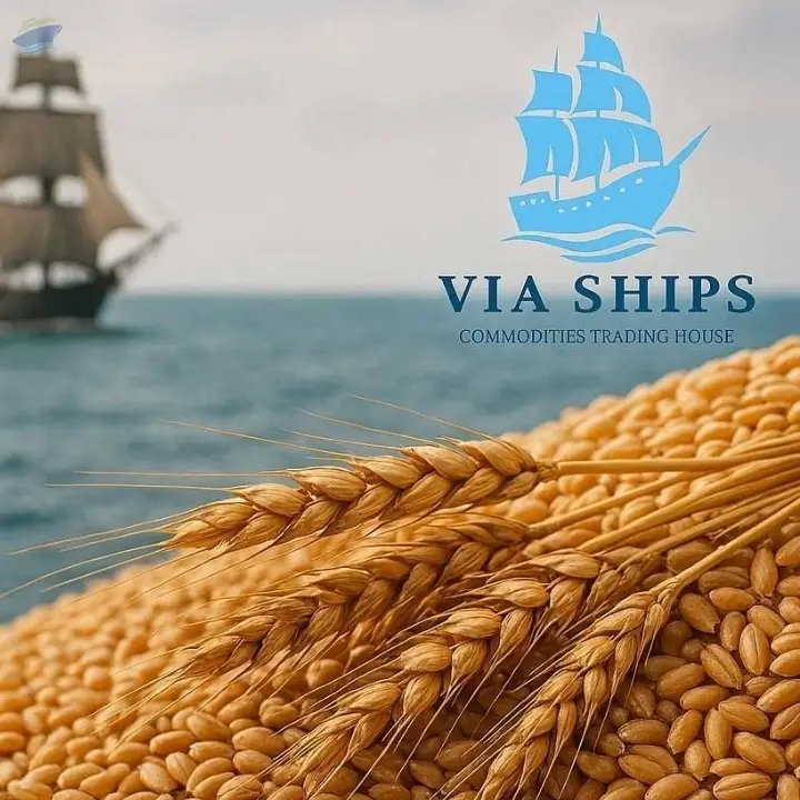 Wheat 11.5% P