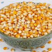 Yellow Corn Human Consumption