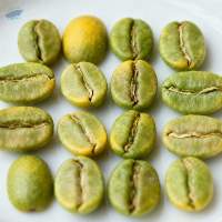 Ugandan Robusta Coffee Screen 18