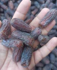 Piarom Dates