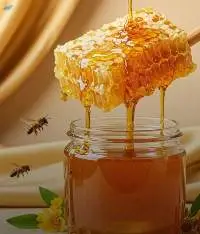 Gazangbin Honey
