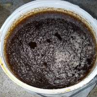 Propolis (Honey Derivative)