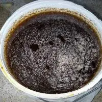Propolis (Honey Derivative)