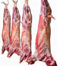 Goat Meat