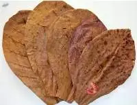 Catappa Leaf