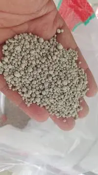 Cat Litter