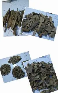 Agarwood