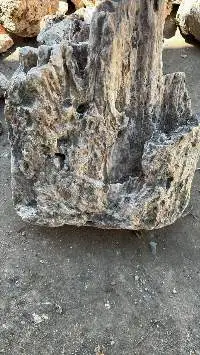 Gum Damar Gum Copal