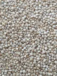 Quinoa White