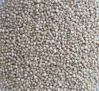 Quinoa White