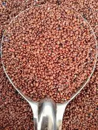 Red Quinoa