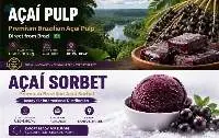 Premium Brazilian Acai Pulp