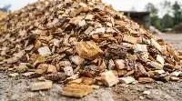 Eucalyptus Grandis Wood Chips