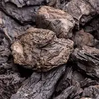 Premium Export Grade Australian Brown Coal