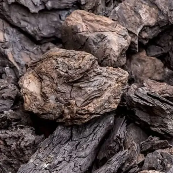 Premium Export Grade Australian Brown Coal