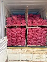Premium Fresh Indian Export Quality Onion