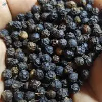Premium Whole Black Pepper Export Grade