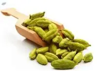 Cardamom