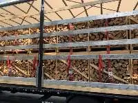Firewood