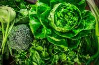 Leafy & Green Vegetables