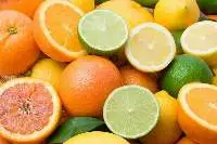 Citrus Fruits