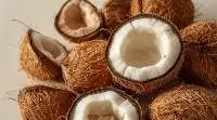 Coconut Copra