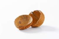 Coconut Shell Products