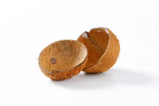 Coconut Shell Products
