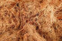 Coconut Fiber & Coir Products