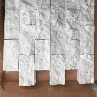 Tundra Splitface from Turkey