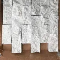 Tundra Splitface from Turkey