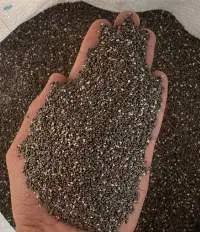 Chia Seeds