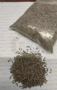 Cumin Seeds