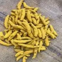 Turmeric