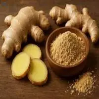 Ginger
