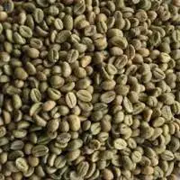 Coffee (Arabica and Robusta)