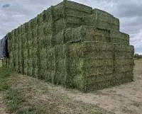 Alfalfa Hay (Lucerne)