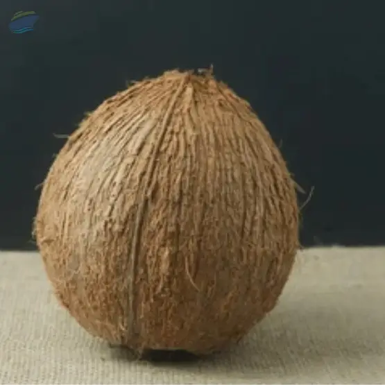 Husked Coconut