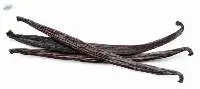 Vanilla Beans