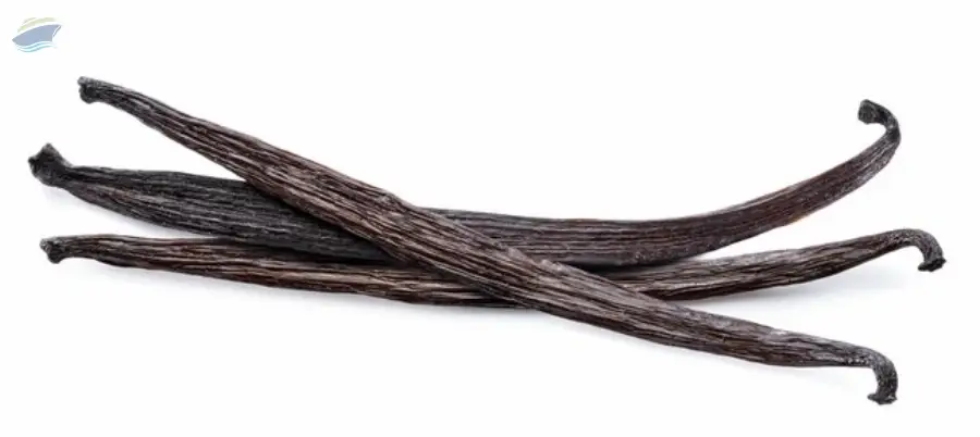 Vanilla Beans