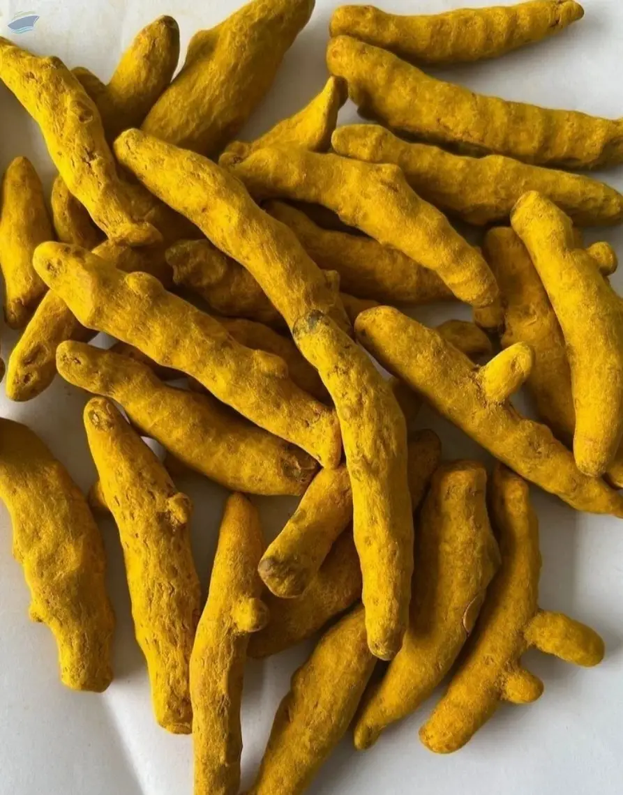 Turmeric Fingers (Nizambad)