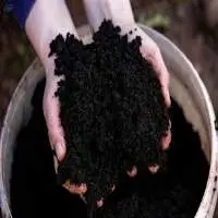 Organic Fertilizers